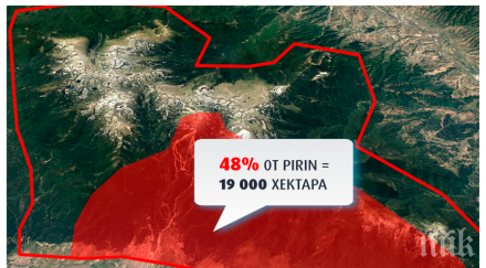 зелените отказват голямата лъжа
