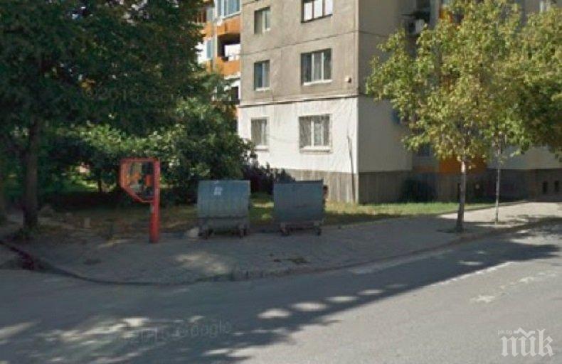 НЕВОЛИ! Улица в Пловдив си иска кофите за смет