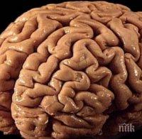 Тежки моменти в живота могат да оставят своя отпечатък върху мозъка на човека