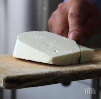 РЕАЛНА ОПАСНОСТ! България може да загуби сиренето и киселото мляко като традиционни храни