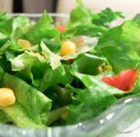 ВНИМАНИЕ! Салатата пращи от нитрати