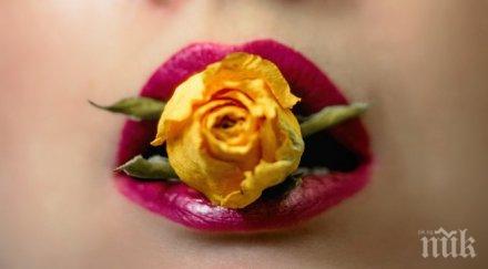 челен пример президентът уганда нареди никакъв орален секс устата ядене