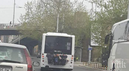 умреш лев гратисчии возят задницата рейс пловдивски булевард снимка