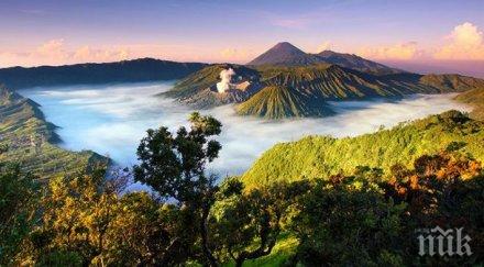 животински видове открити остров ява