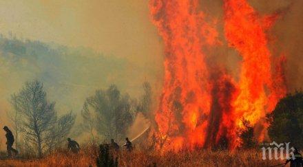огромен пожар бушува пелопонес