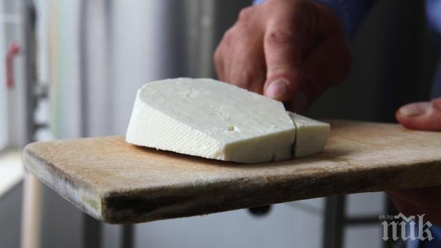 РЕАЛНА ОПАСНОСТ! България може да загуби сиренето и киселото мляко като традиционни храни