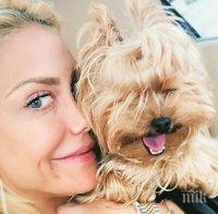 БАРОВКА! Венета Харизанова се хвали с куче за 2 бона БАРОВКА! Венета Харизанова се хвали с куче за 2 бона