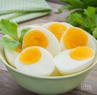 ПОЛЕЗНО! Едно яйце на ден против рак на гърдата