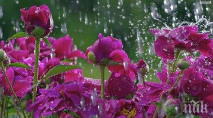 дъжд 33° края април