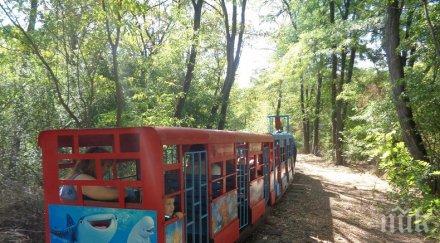 лято детското влакче вози малчуганите кърджали