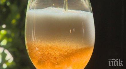 софия проведе състезание домашна бира