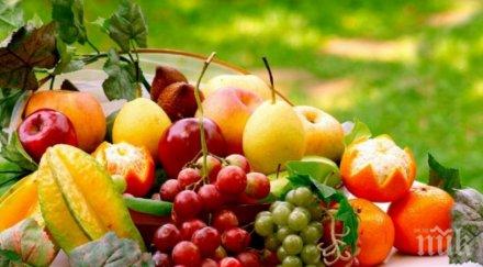 топ плодове шампиони отслабването