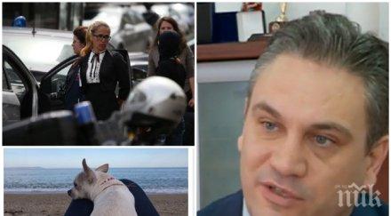 ексклузивно закованата подкуп кметица обичала глези чужбина иванчева отскачала лукс почивки скимне