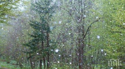 започва войната градушките