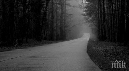 пълен шаш безкраен път погубва десетки сащ