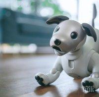 В Япония погребват развалени кучета-роботи