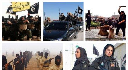 страховито ужасна заплаха изток ислямска държава надига отново терористичната групировка капитал млрд евро