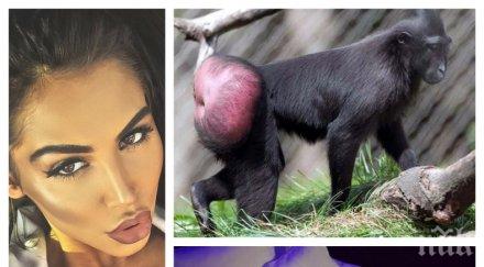 пик абсолютна карикатура случва анджелина скандалното порно футболист снимки видео