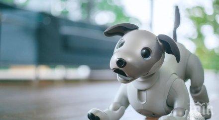 япония погребват развалени кучета роботи