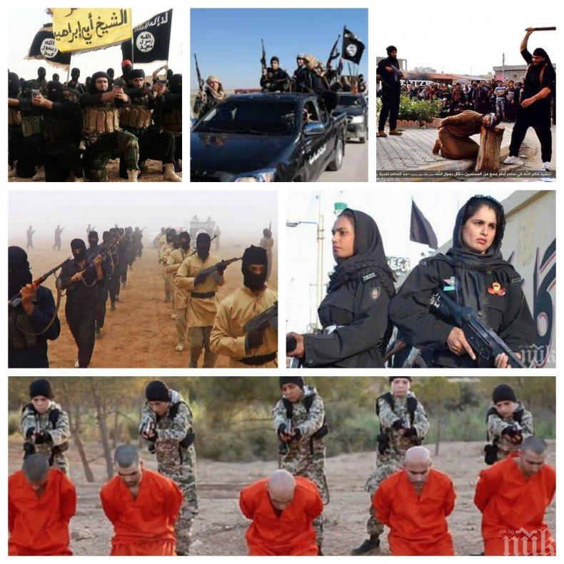 СТРАХОВИТО! Ужасна заплаха от Изток! Ислямска държава се надига отново - терористичната групировка има капитал от 3 млрд. евро