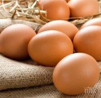 В Павликени се провежда празник на яйцето