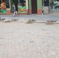 ПЪЛЕН ТУШ! Ремонт на ремонта на ул. 