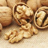 Орехите подобряват мъжката плодовитост