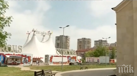 странно съжителство цирк църква един двор насред младост