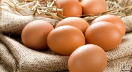 павликени провежда празник яйцето