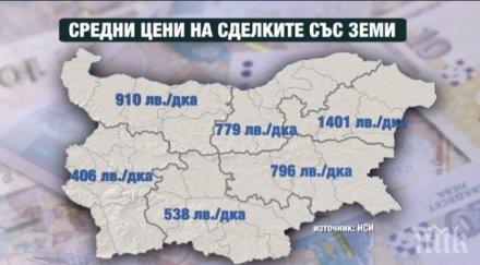 бум година земеделската земя поскъпна