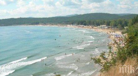 труп делфин изплува каваци снимки