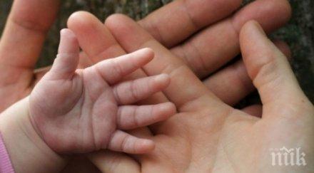 деца осиновени първото тримесечие годината монтанско