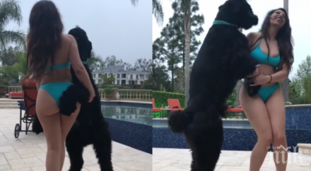 цирк милионер съди моделка възбудила кучето