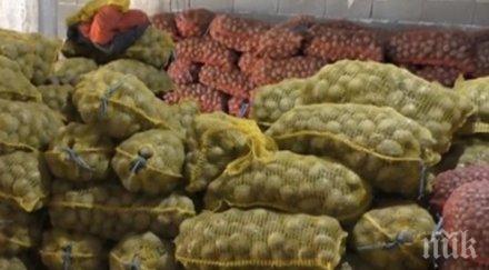 тонове картофи гният заради липса пазар смолянско