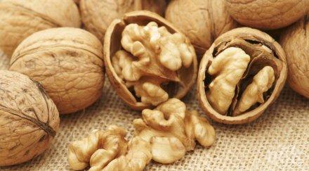 орехите подобряват мъжката плодовитост