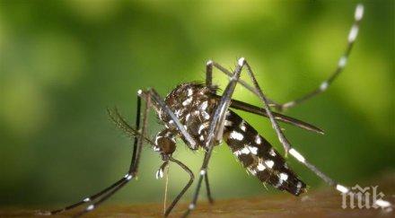 неравна битка атакуват комарите кораб