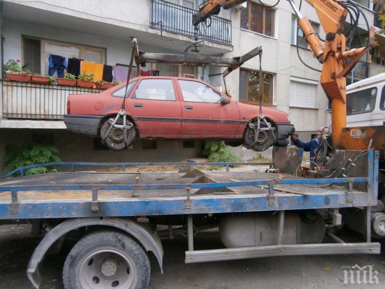 АКЦИЯ! Вдигат бричките от улиците в Берковица