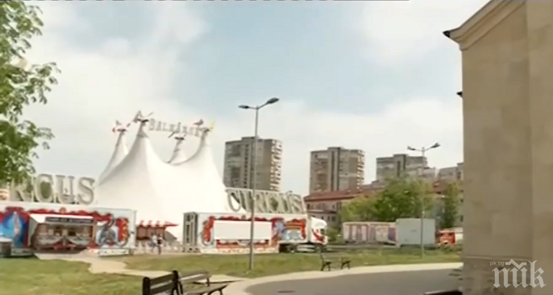 СТРАННО СЪЖИТЕЛСТВО! Цирк и църква в един двор насред Младост