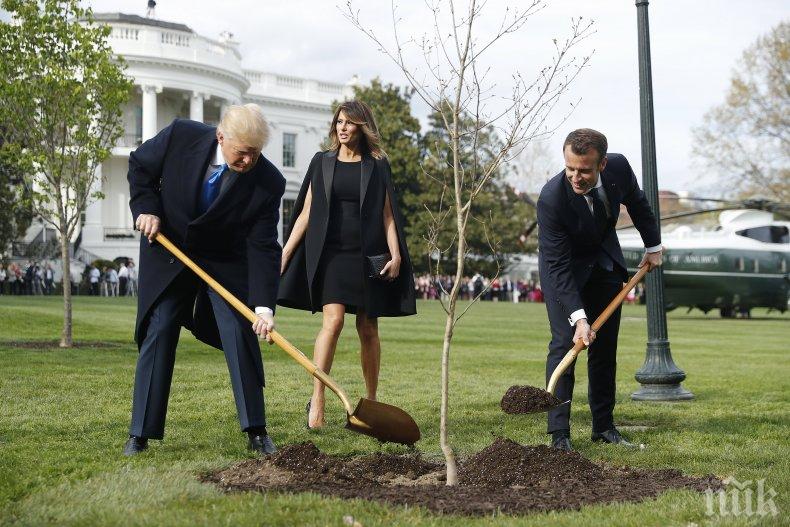Мистерия! Изчезна дръвчето, което Тръмп и Макрон засадиха заедно в Белия дом