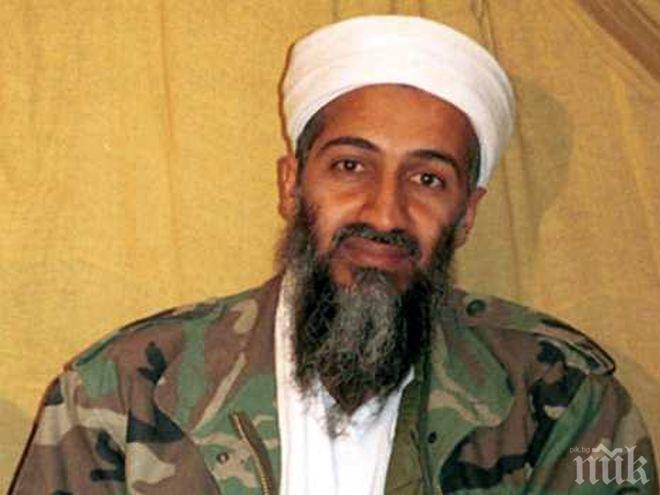 РАЗКРИТИЕ! ЦРУ подготвяло бягството на лекаря, издал Осама бин Ладен