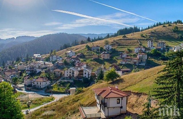 Овчар застреля любимото хъски на кмета