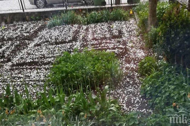 Градушка удари Чепеларе, градът побеля от ледените късове (СНИМКИ)