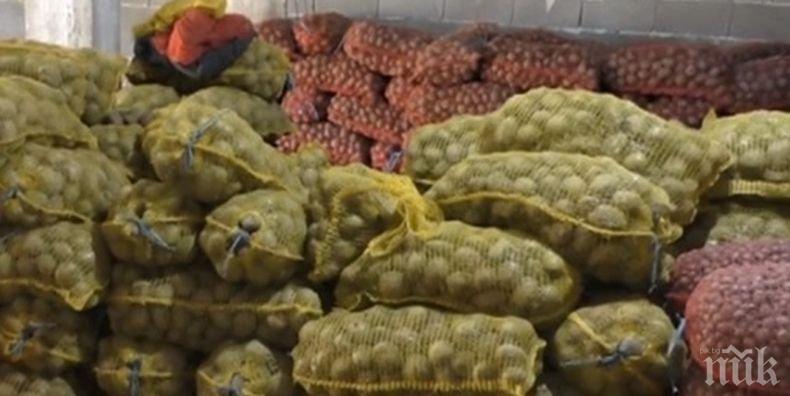 Тонове картофи гният заради липса на пазар в Смолянско