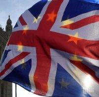 ЕС подкрепи Ирландия в налагането на вето на търговската сделка с Великобритания