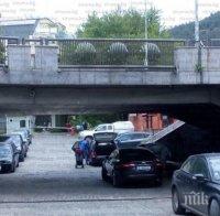 Змии в центъра на Благоевград! Не се целувайте под Моста на влюбените, дебнат пепелянки