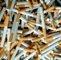 Поредна акция срещу контрабандисти на цигари и тютюн във Врачанско