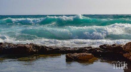 шок морето изхвърля мъртви овце южното черноморие