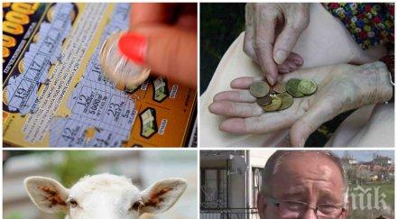 пик пълна илюзия милионите националната лотария новите богаташи чакат парите гроб децата наследяват