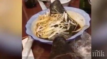 шок риба скочи чиния китайски ресторант видео