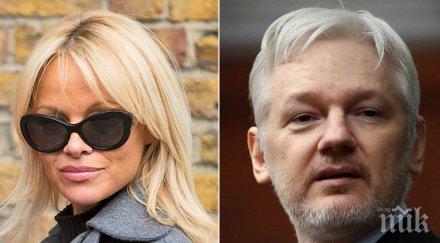 защитничка памела андерсън мразят джулиан асандж заради монопола клинтън медиите